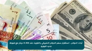ثبات الدولار.. استقرار سعر الدولار الأمريكي بالكويت عند 0.304 دينار مع هبوط جديد لليورو.